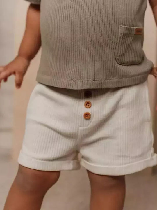 Little Dutch