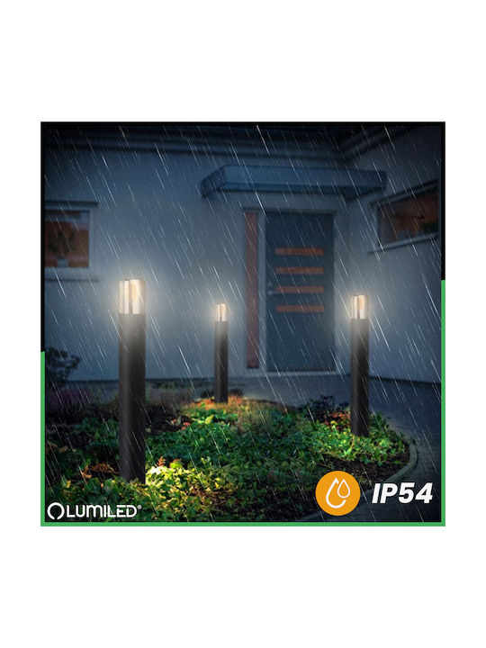 Lampa De Grădină Stâlp Pentru Exterior Bec E27 Negru Sticlă Ip54 60 Cm Salvia Lumiled