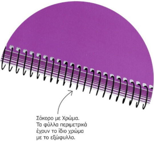 Metron Spiral Ruled Notebook 120 Paper Sheets 4 Subjects (Miscellaneous Colours)