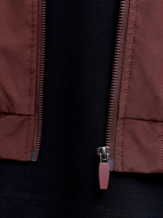 Bomber Jacket Bitter Chocolate