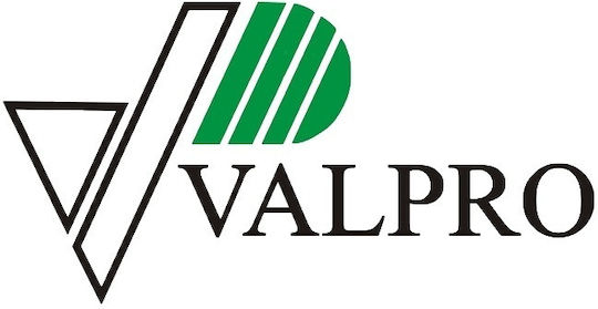 Canistră de combustibil din tablă de oțel Capacitate 10l Roșu Valpro