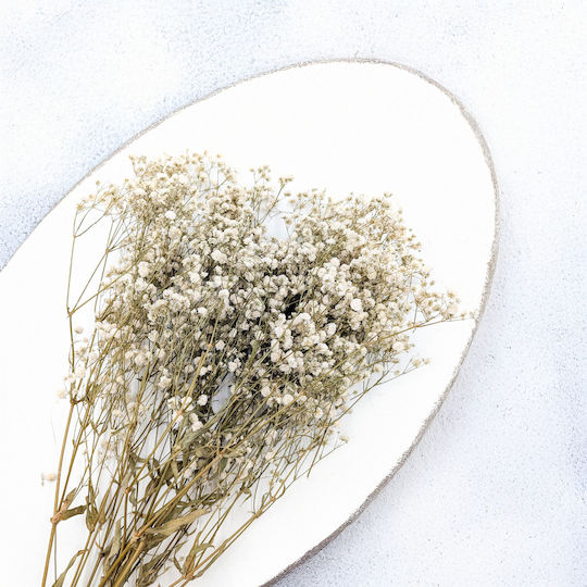 Stabilized Baby's Breath Gypsophila Royal Bouquet Natural