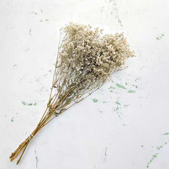 Stabilisiertes Baby's Breath Gypsophila Royal Blumenstrauß Natürliche