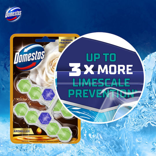 Domestos Toilet Block with Freshness Scent 2x50g