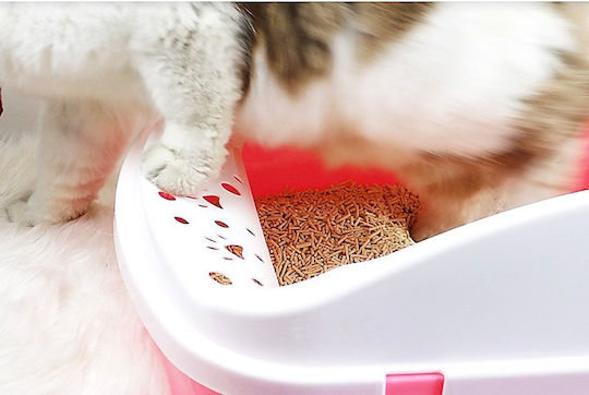 Cat Toilet with Sieve Grey L50 x W34.5 x H21cm