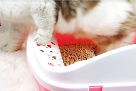 Cat Toilet with Sieve Grey L50 x W34.5 x H21cm