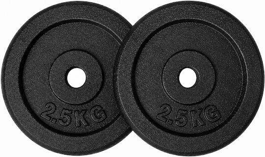 Profit Set of Plates Metal 1 x 2.5kg Ø28mm