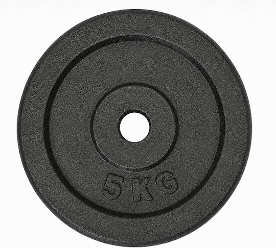 Profit Metal Plate 1 x 5kg Ø28mm