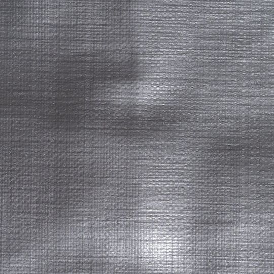 Prelată PE de înaltă densitate 3x8 m 260 g/m² cu inele metalice impermeabilă rezistentă la UV și îngheț
