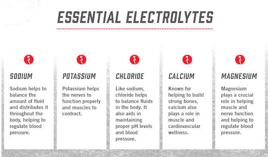 Biosteel Hydration Mix Синя Малина 6 сашета