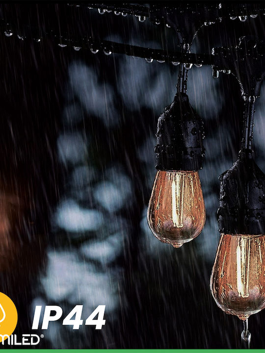 Malus Lanț Luminos Ghirlandă de Grădină pentru Exterior 10 m 10x E27 Lumiled