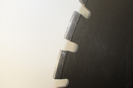 Porotherm 750 Silica Diamond Disc Praxer