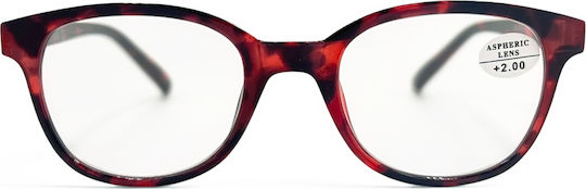 Optosquad Reading Glasses +1.25 In Red Colour 8950-3