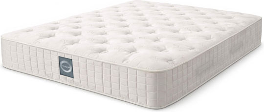 Executive Queen Ergonomic Mattress Foam / Latex 160x200x28cm with Independent Springs