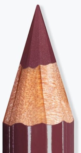 Mesauda Milano Artist Lips Lip Liner Plum
