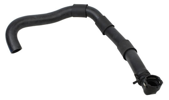 Hyundai Kühler Auto-Motorkragen I20 12 Unten 254124p700