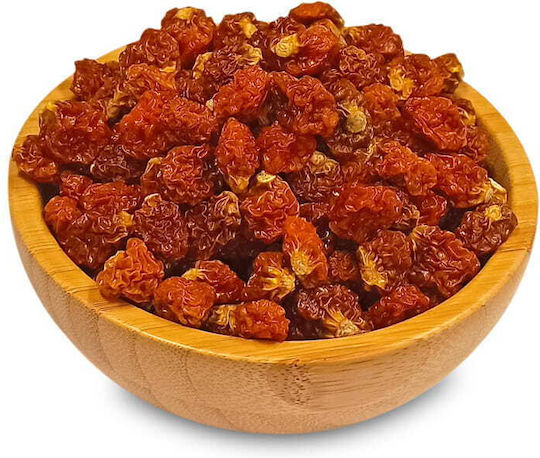 Αποξηραμένο Φυσάλις 500g Migogroup