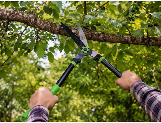 Hedge Shears 26cm Precise Shrub Shaping