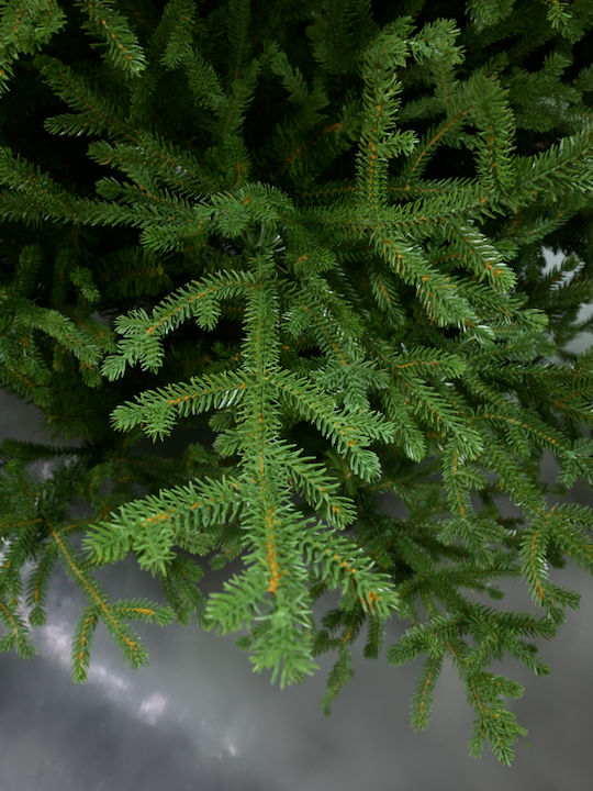 Δέντρο Noel Verde Δέντρο Noel Verde