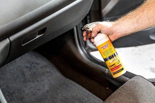 Moje Auto Auto Lufterfrischer Spray Zitrone 500ml