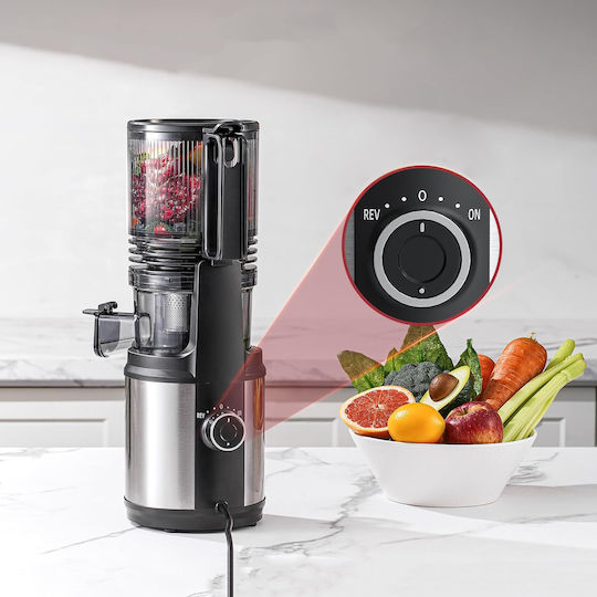 Αποχυμωτής Αργής Σύνθλιψης 250W Ασημί