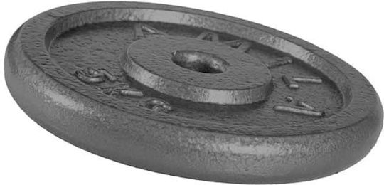 AMILA Δίσκος Μεταλλικός 1 x 2.5kg Φ28mm