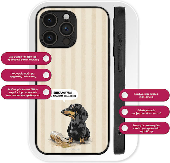 Sonique Stripe Stories Series Motorola Moto G84 5G Silent Mode Case