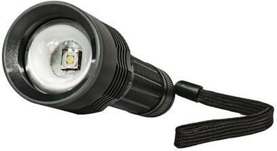 Technik Wiederaufladbarer LED Taschenlampe IPX4 mit Maximaler Helligkeit 1000lm P26v2 10 Stück