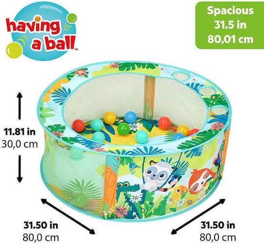 Bright Starts Activity Gym for 6+ Months