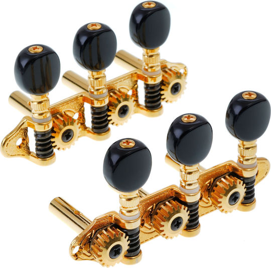 Grover Ma200 Es 3+3 Gold Black Buttons