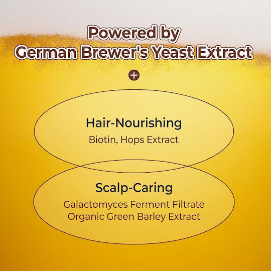 Kundal Beer Yeast Hair Loss Relief Stimulating Refreshing Sampon Miros de Ierburi și Mentă 500 Ml