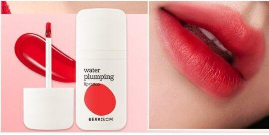 Berrisom Lip Stain Scarlet Red 6gr