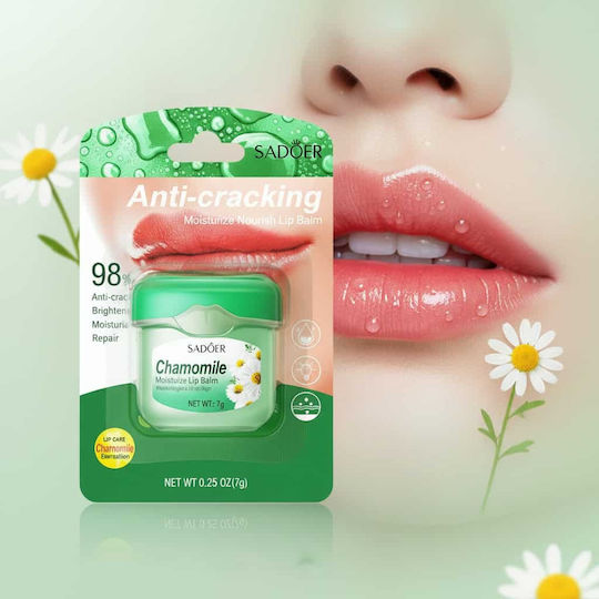 Balsam de Buze cu Mușețel Sadoer 7g