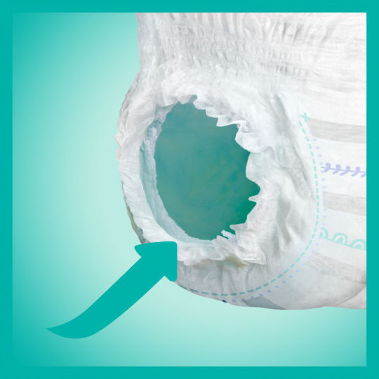 Pampers Πάνες Βρακάκι Premium Care 1+1 No. 6 για 15+kg 62τμχ