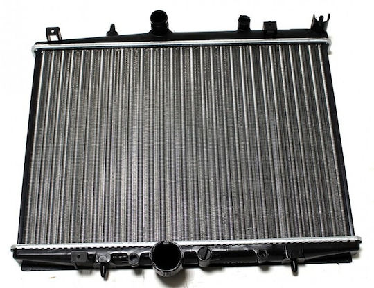 Radiator Sistemului de Răcire Motor Citroën C5 Peugeot 406 133068
