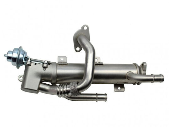 Loro Auto-Kühlschrank Motor Audi A4 A6 03g131512al