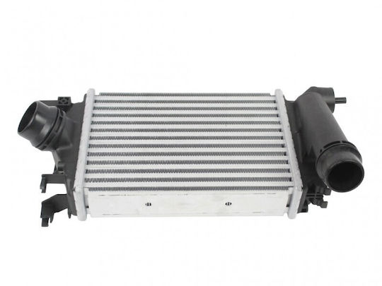 Ψυγείο Αέρα Υπερπλήρωσης Dacia Duster Jogger Logan Iii Sandero Iii 14496 8819r