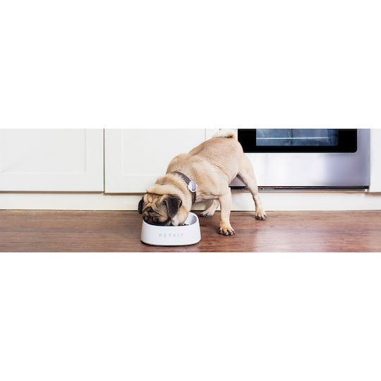 Food and Water Bowl for Dog made of ABS Plastic 450ml 16.5x17cm with Scale