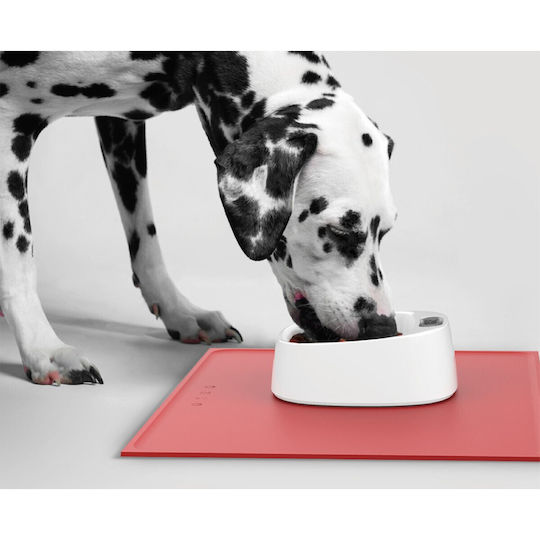 Food and Water Bowl for Dog made of ABS Plastic 450ml 16.5x17cm with Scale