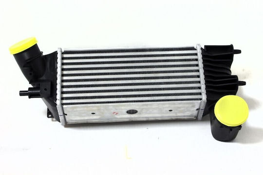 Ψυγείο Αέρα Υπερπλήρωσης Citroën C5 I Peugeot 406 607 0384f3