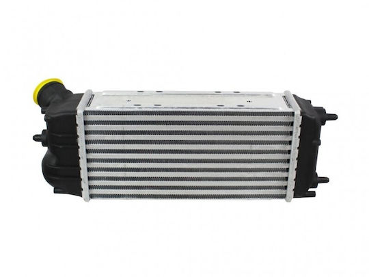 Радиатор на въздуха за пълнене Ford Fiesta Vi 1589068