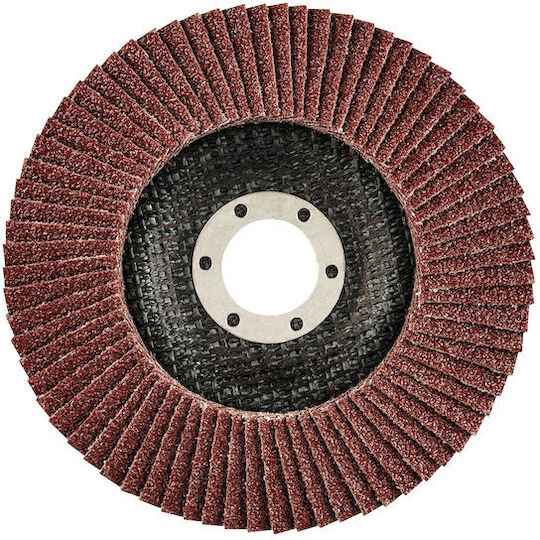 Graphite Grinding Disc Metal 125mm