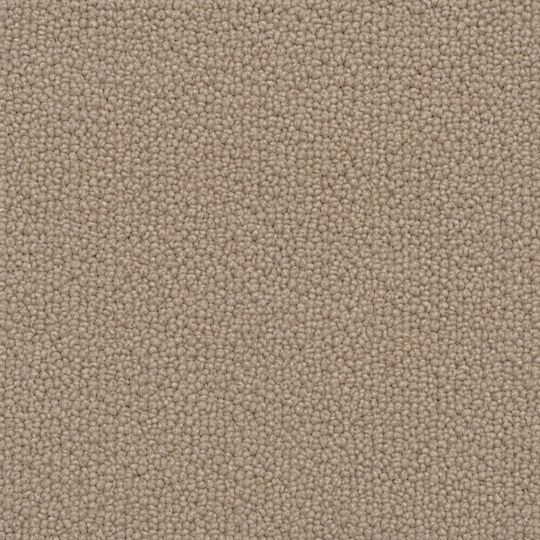 Jollie Wohnzimmer Teppich Rechteckiges Beiges 200x290cm