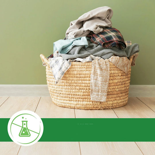 Lovela Family Laundry 48 Kapseln Geschirrspülmittel 5kg