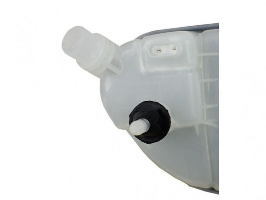 Δοχείο Διαστολής Υγρού Ψύξης Mercedes E W176 W246 W242 C117 2465000049