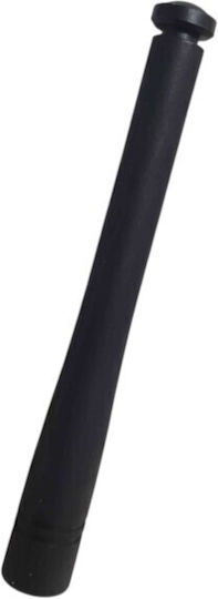 Tradesor Autoantennen Poampodékti Eúkampi Female 252374