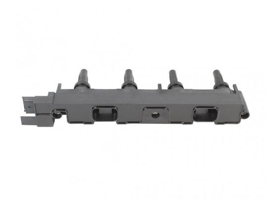 Πηνίο Ανάφλεξης 4 Ακίδων Citroën C4 C8 Peugeot 206 307 406 5970.84