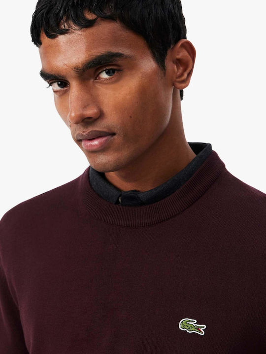 Burgundy Sweater