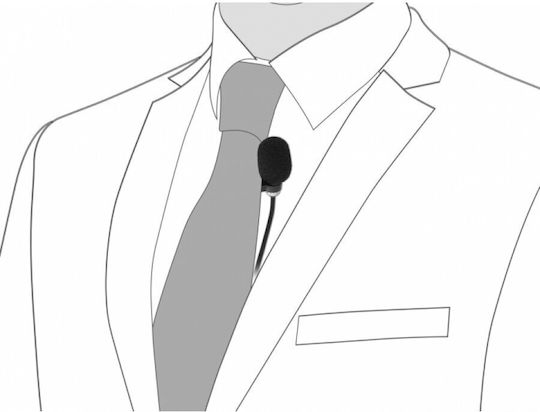 DeLock USB Microphone Ultra-directional Μικρόφωνο USB Πέτου για Φωνητικά