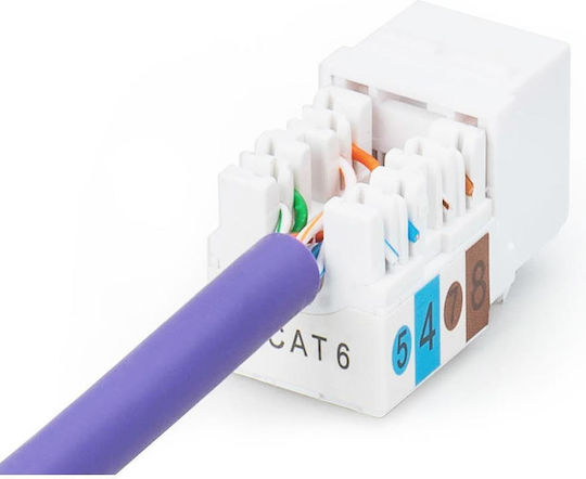 Digitus Netzwerk-Schlüsselsteine DN-93601 RJ45 1 Stück